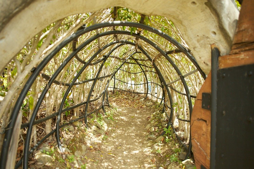 農園のトンネル